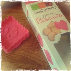 Biscuits aux pépites de chocolat