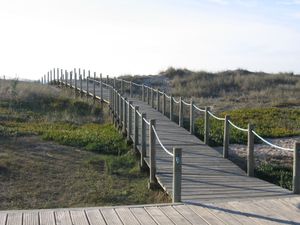 Parcours cultures numériques (EMI) : les séances en cours