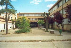 Savia nueva