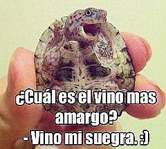¿Qué es la risa?
