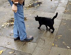 Más de la mitad de los rusos son supersticiosos.