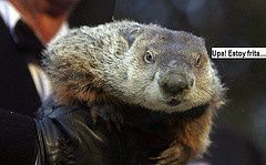 Javier Fernandez: "Marmota condenada a pena de muerte"