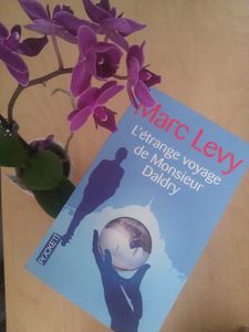 L'étrange voyage de monsieu Daldry de Marc Levy