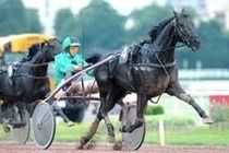 Ce que le trot me donne, le galop me le reprend : j'arrête le plat