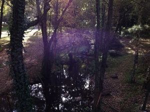 Brocéliande