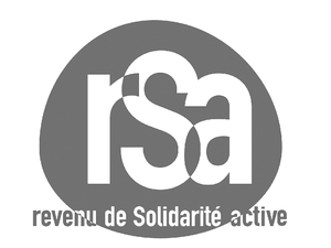Pourquoi le RSA en France ?