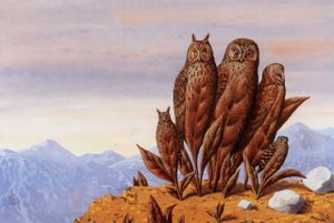 un début de texte sur les Oiseaux....