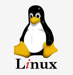 Implementing Linux VPS Hosting To Your Website