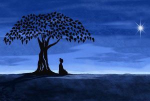 MEDITATION GUIDEE ET GUERISON LE 12 MAI A ROGNES(13)