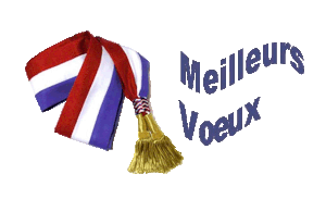 Voeux de la municipalité