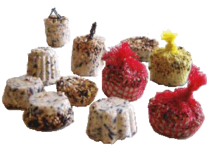 L'hiver approche, comment nourrir les passereaux du jardin.