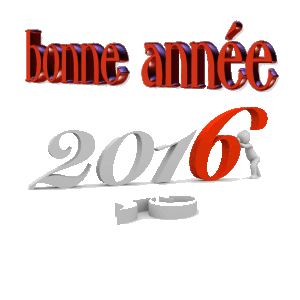 2015 se termine, bonjour 2016 !