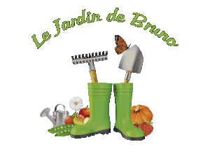 Grosse activité au jardin.