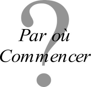 Comment poster un commentaire sur le blog ?
