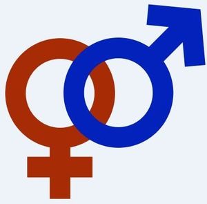 Les ordinateurs sont-ils masculins on féminins ?