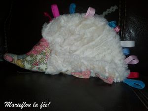 Une nouvel animal à la maison!
