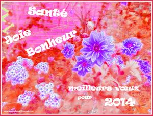 Meilleurs Vœux 2014