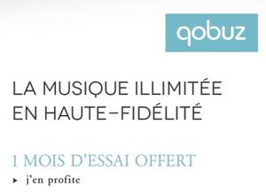 Idée cadeau - toute la musique avec un son