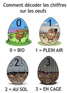 0,1,2,3...Oeufs!