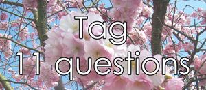 Tag des 11 questions