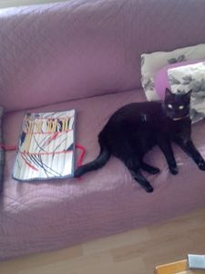 Quand Marraine tricote (3)...
