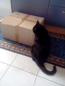 Popette et les colis