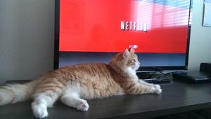 J'ai adopté Netflix