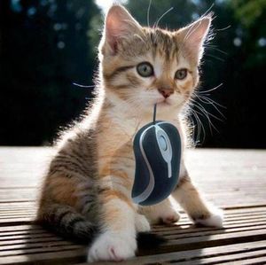 Alors? tu t'y remets?