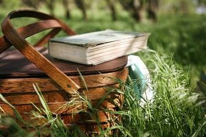 Mes lectures de l'été 2015