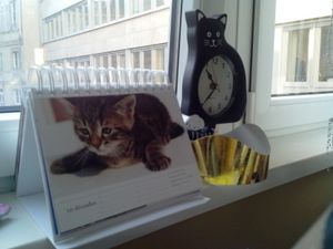 Mes compagnons de bureau sont un peu...particuliers