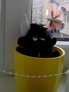 Mes compagnons de bureau sont un peu...particuliers