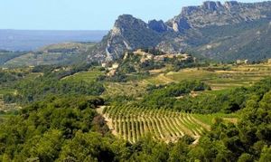 Découvrir notre belle région