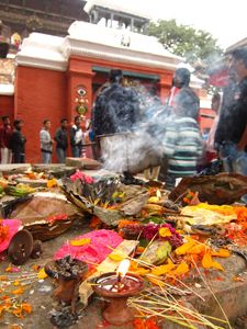 Yak Yak Yak NEPAL