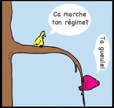 Je veux perdre du poids avant l'été !
