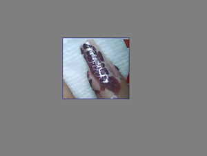 Nail art water o craklè come realizzarlo: tutorial