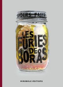 Chronique de Les Furies de Boras d'Anders Fager