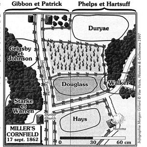 Antietam :18 sept 1862 carnage dans un champ de mais ! Billy Yank