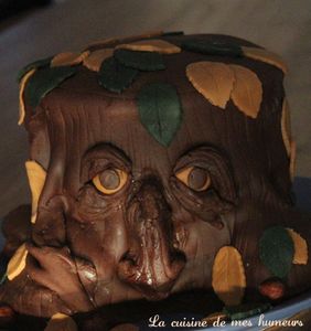 Un gâteau Entique ou un drôle de gâteau au chocolat, noisette et chocolat blanc pour l'automne
