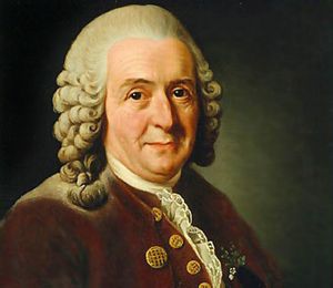 Karl von Linné, Biografía