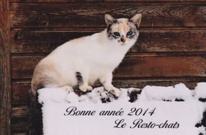 Mon association coup de coeur !