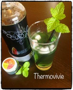 Sirop de menthe au thermomix