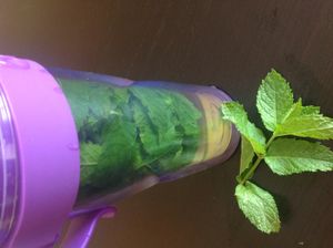 Sirop de menthe au thermomix