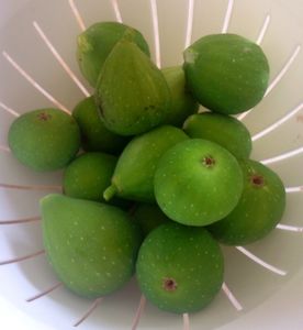 Sorbet aux figues et à la cannelle au thermomix