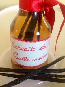 Extrait de vanille maison et sucre vanillé au thermomix