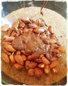 Amande enrobée de chocolat