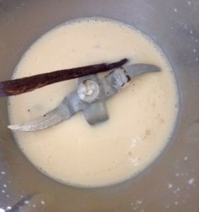 Brioches à la vanille et au Nutella, deux recettes super simple au thermomix .