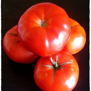 Ketchup maison au thermomix