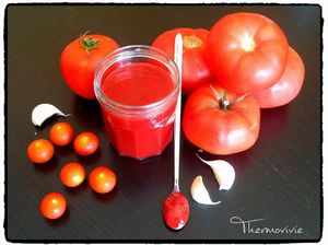 Ketchup maison au thermomix