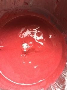 Coco and Raspberry Dream
