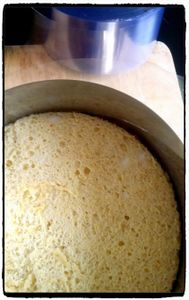 Fraisier, recette au thermomix